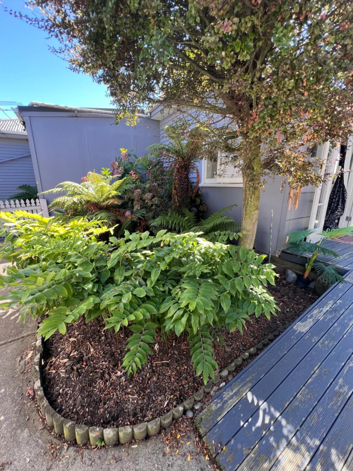 Gorgeous Villa, 7 Minutes From Airport Christchurch Eksteriør bilde